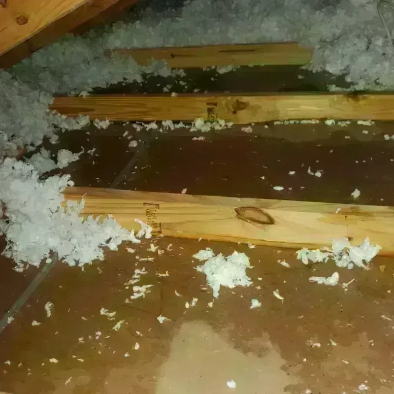 Attic Water Damage in Dysart, IA