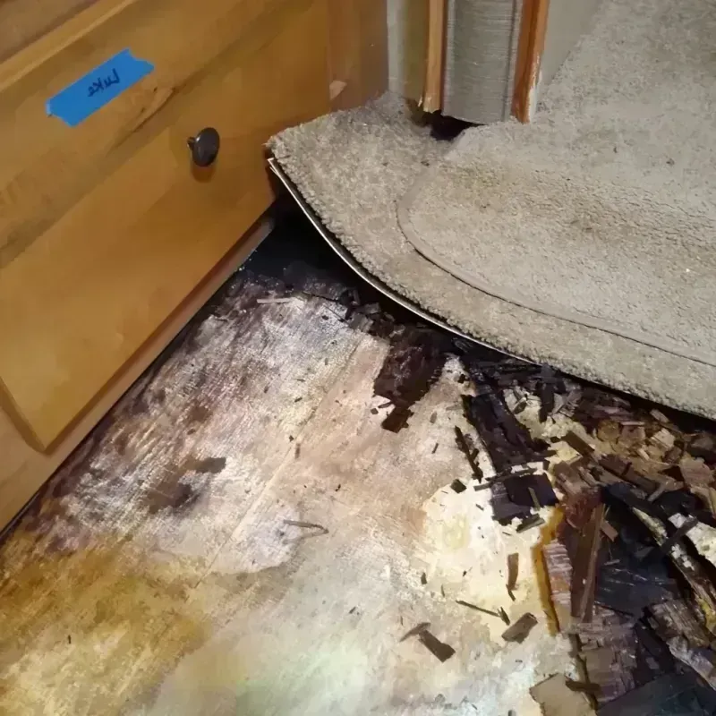 Best Wood Floor Water Damage Service in Dysart, IA